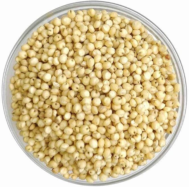 qwgpt 1 KG Jowar Sabut,Sorghum SEEDS/juwar/JAVAR/JOVAR/jowari/Cholam/Sorghun Seed-picture-3