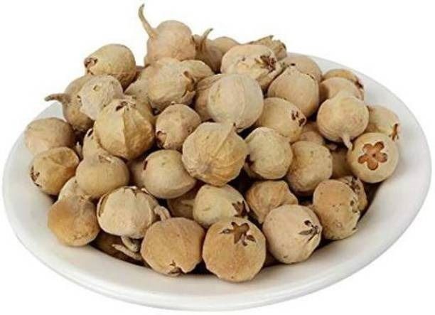 Paneer Doda - Paneer Dodi - Paneer Flowers - Paneer Fruit - Paneer Phal Seed-image-18