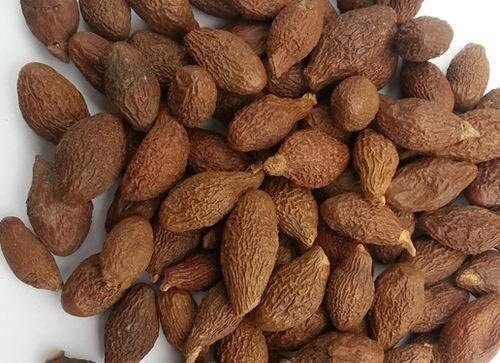 Niranjan Phal 20g | 100% Natural Malva Nuts | Supports Digestion Seed-image-11