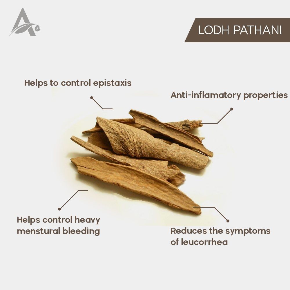 Lodh Pathani – Lodh Chhal- Lodhra – Lodhra Bark – Symplocos Racemosa Seed Seed-image-14