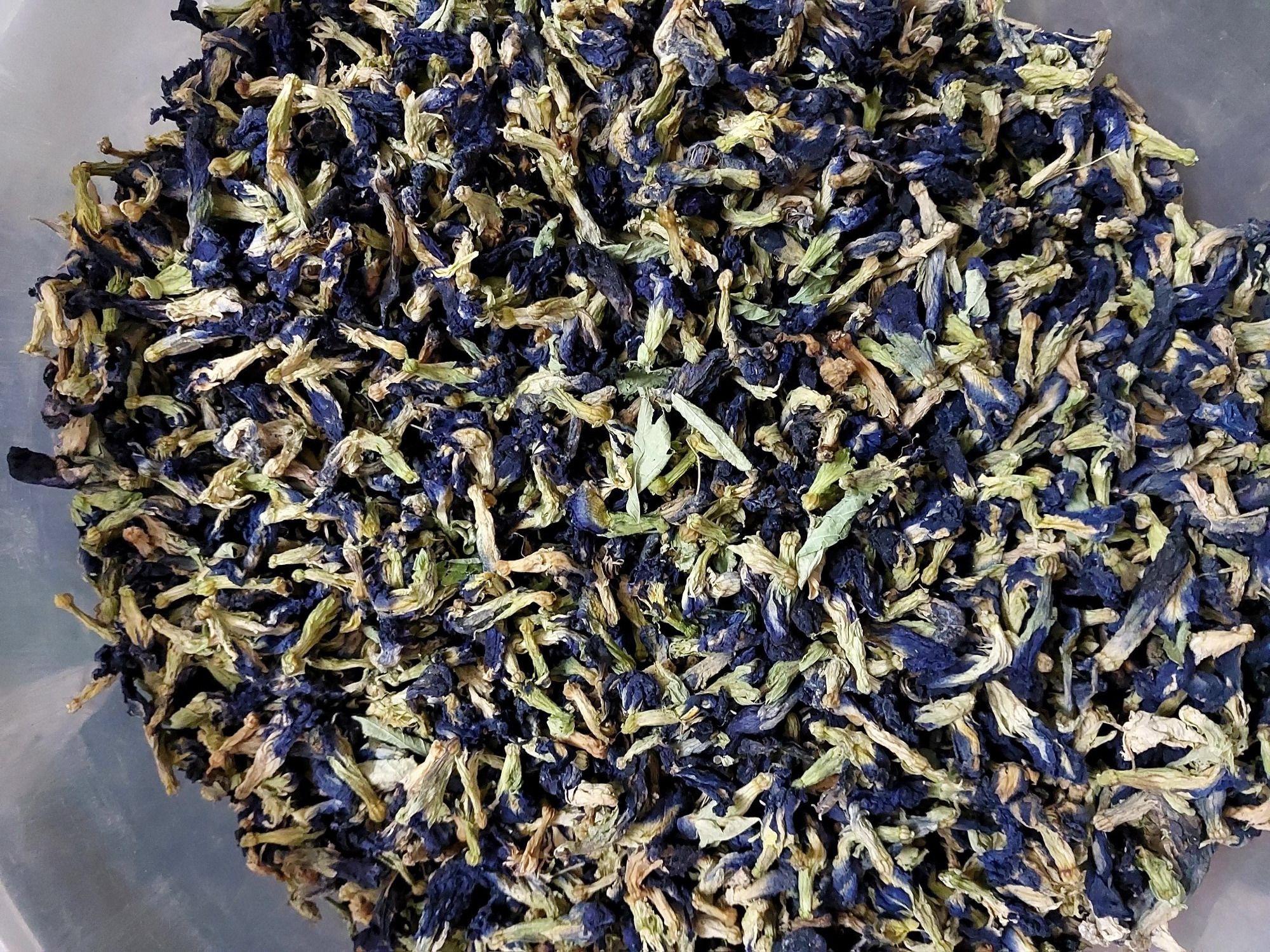 Butterfly Pea Flower, Shankhapushpi Phool, Aparajita flower, Clitoria Ternatea Seed-image-33