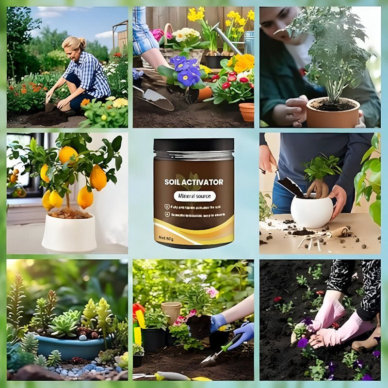 Soil Activator for Pots and Planters with Mineral Rich Formula Plant Straightener-image-39