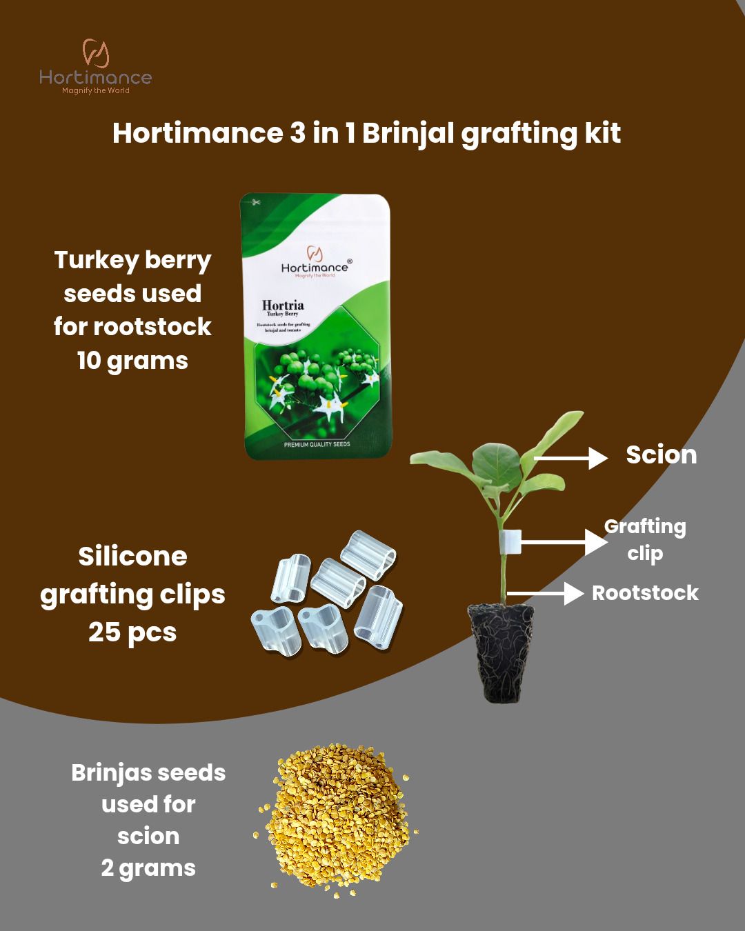 3 in 1 Brinjal Grafting kit Turkeyberry seed10G,Brinjal seed2G,Grafting clip25pc Plant Straightener