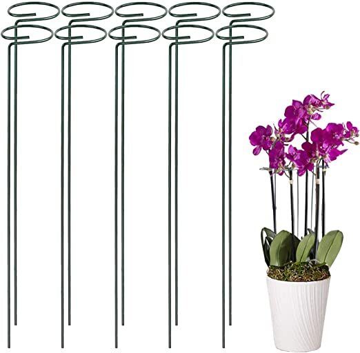 golddust Stake For Plants, Plants Support Stake, Garden Stakes, Metal Plant Stakes Plant Straightener-picture-22