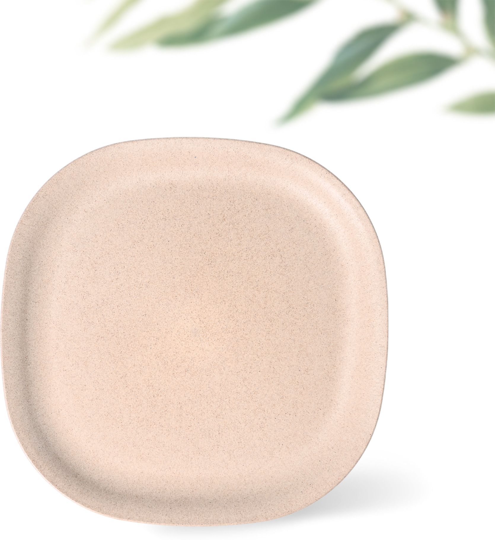 eha Earth Friendly Dinner Plate | 11 inch | Made with Rice Husk and Bambo Fibers Dinner Plate-picture-32