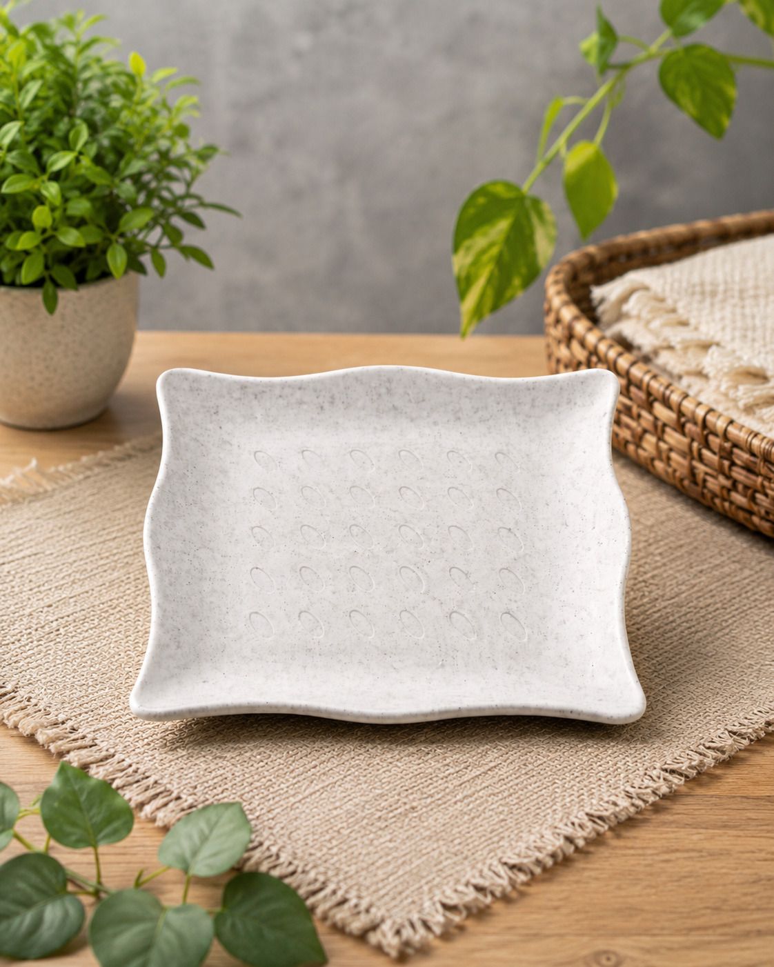 Premium Plastic Snack Plate Chip & Dip Tray-image-27