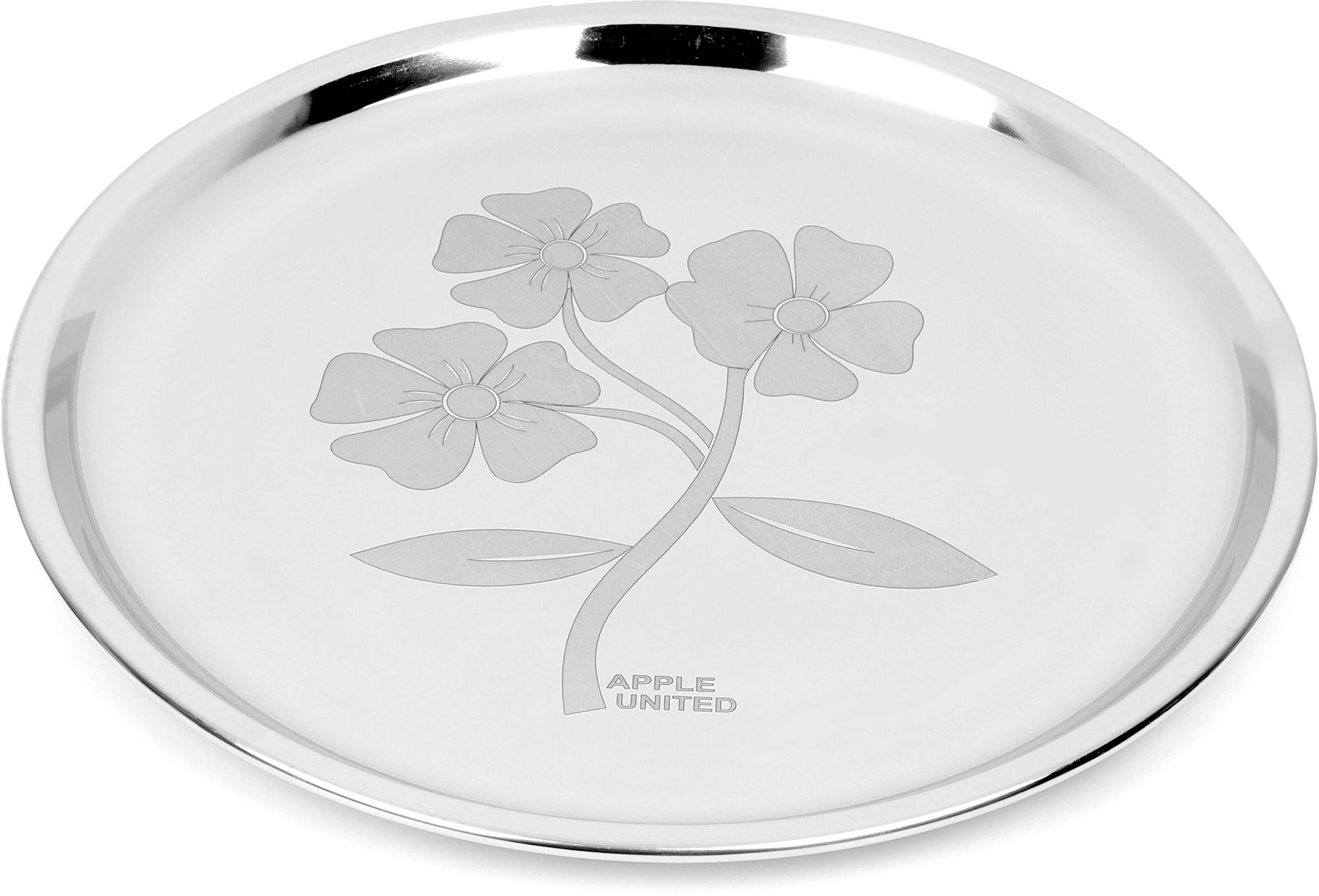 Stainless Steel Plain Full Dinner Plate Mirror Glossy Finish With Laser print Dinner Plate-image-4