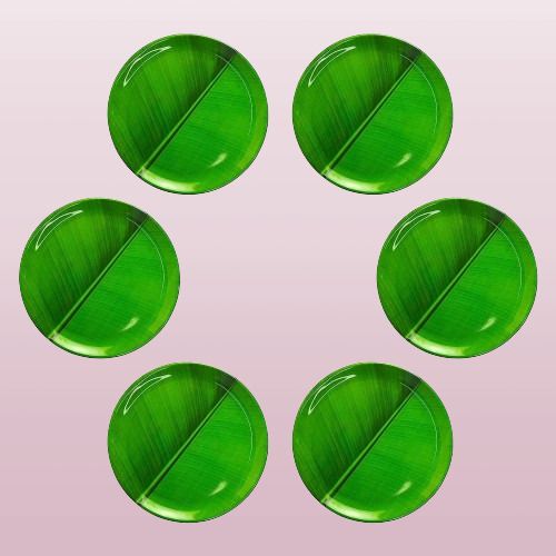 Dishwasher Safe Melamine Beautiful Banana Leaf Print Design Dinner Plate-image-28