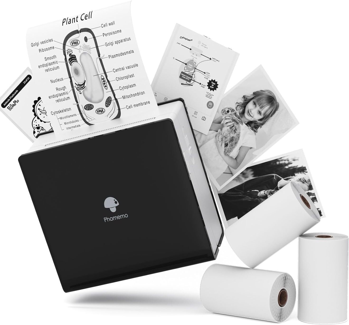 oddpod Black-M02-Phomemo Wireless Bluetooth Thermal Mini Printer-picture-10