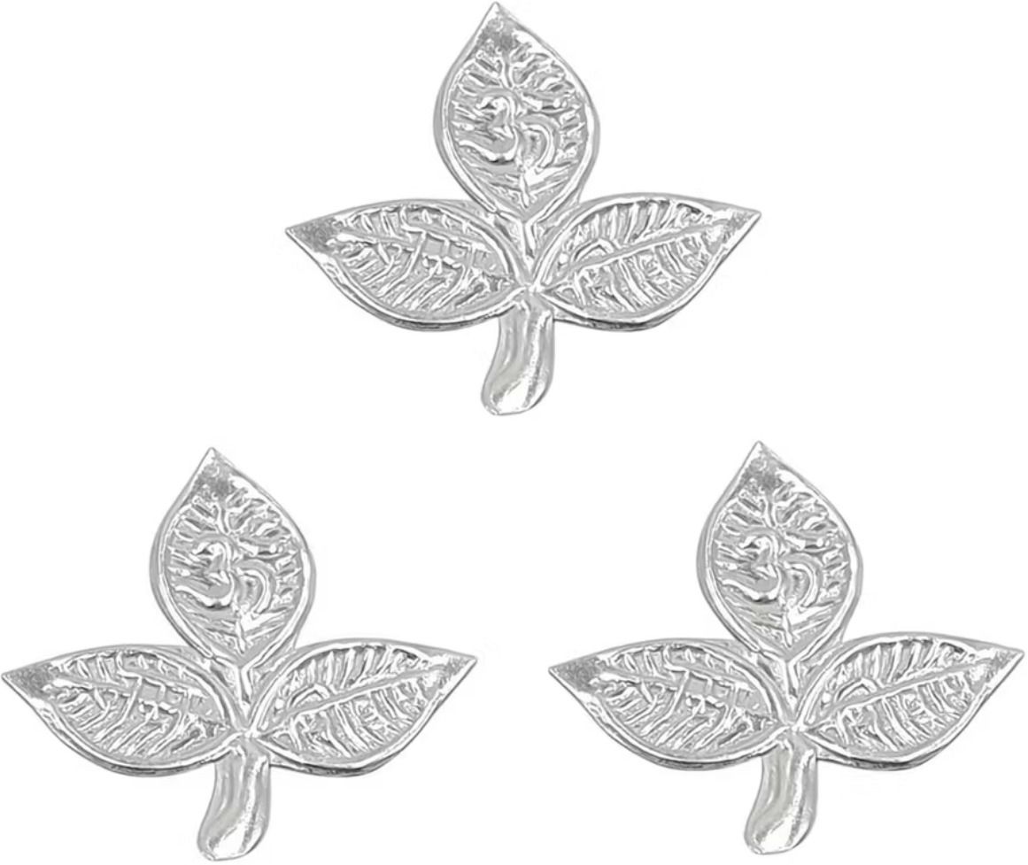 Silver-image-6