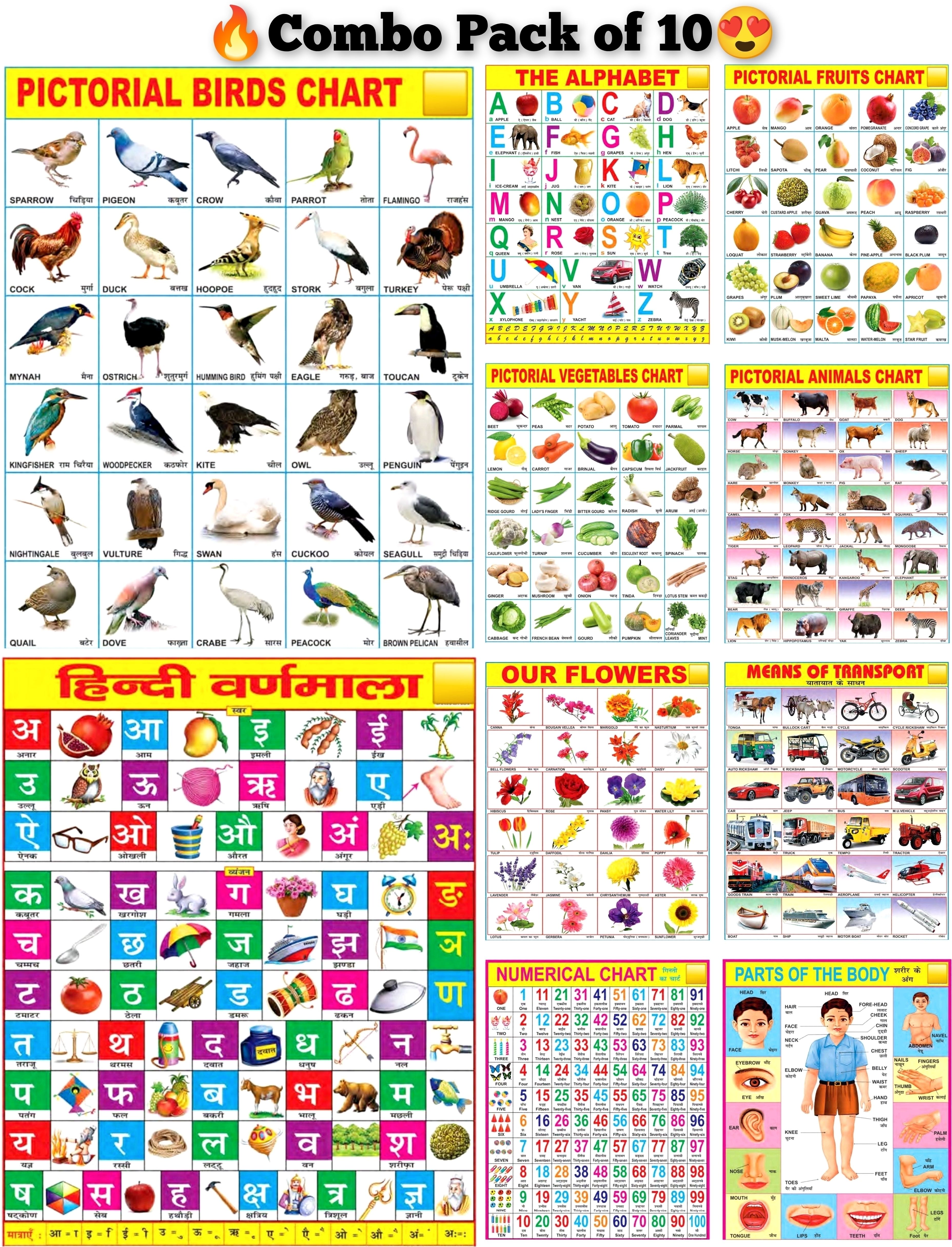Early Learning Educational Chart for Kids | Learn About English Alphabet, Fruit, Vegetables, Animals, Birds, Part of Body, Hindi Vernmala, Transport, Numerical & Flower with Colourful Picture for Children Fine Art Print-image-25
