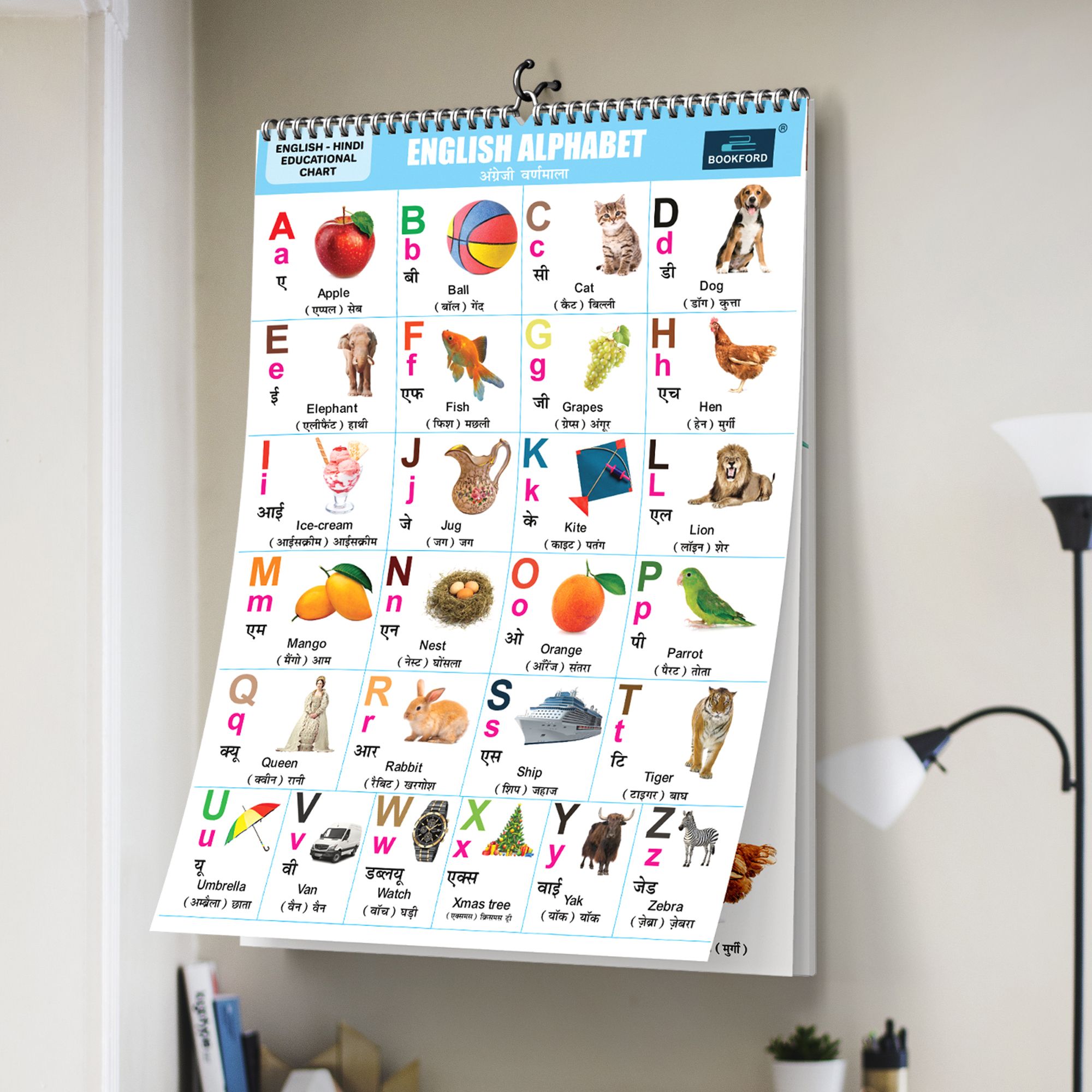 bookford publications 16 in 1 English Hindi Wall Charts for Kids Laminated Double Sided Educational Learning Posters Home School Preschool Study Charts Paper Print-picture-10