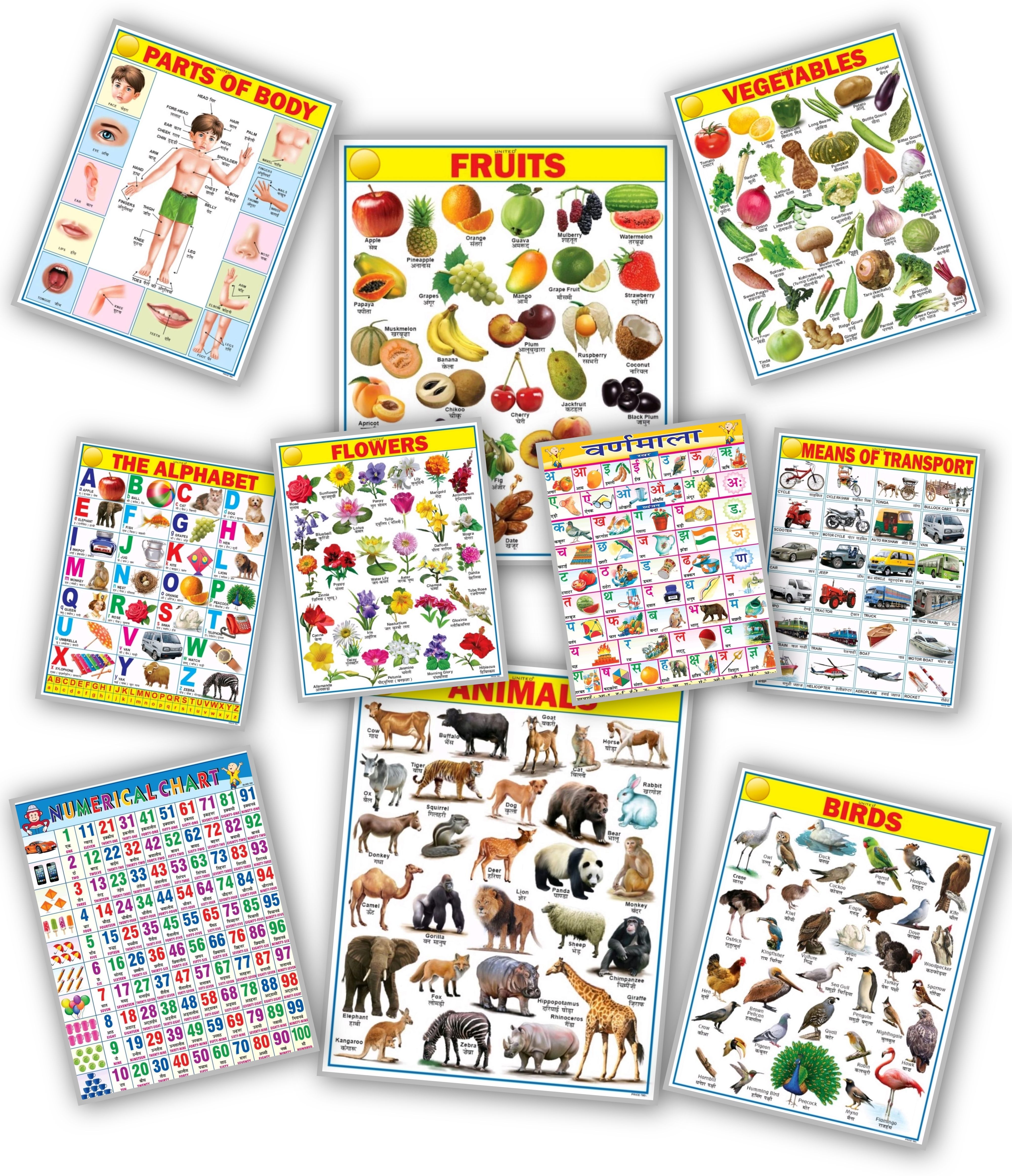 Children Educational Chart – Bright & Attractive Learning Chart Size 45x60cm Paper Print-image-28