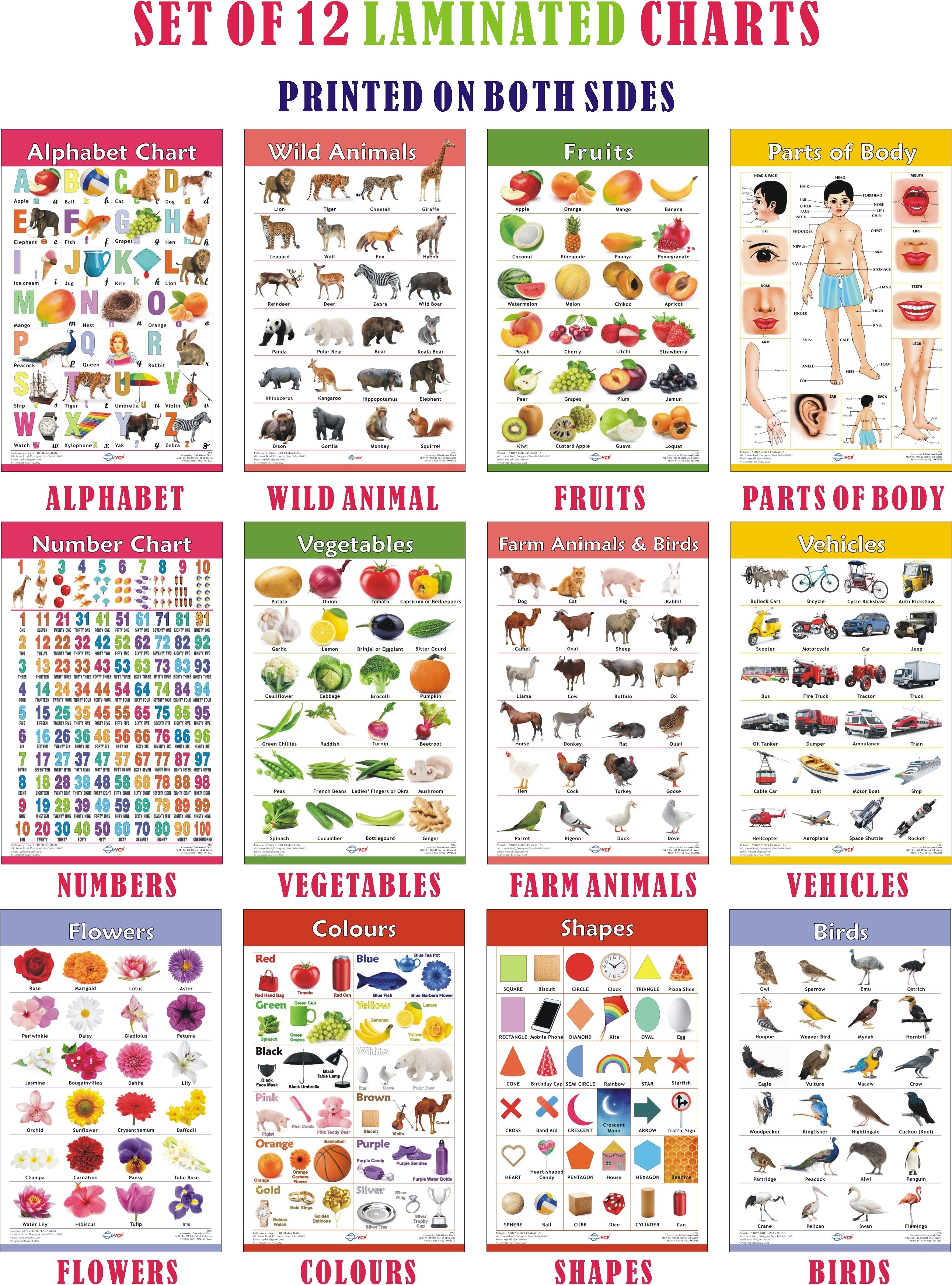 Early Learning Educational Charts Set for Kids | Set of 6 Charts ( Printed on Both Sides ) | 31 x 45 cm | Non-Tearable and Waterproof | Perfect for Homeschooling, Kindergarten and Nursery Students | Alphabet, Numbers, Birds, Animals, Fruits, Vegetables, Shapes, Colours, Parts of Body, Vehicles, Domestic Animals & Flowers Chart Photographic Paper