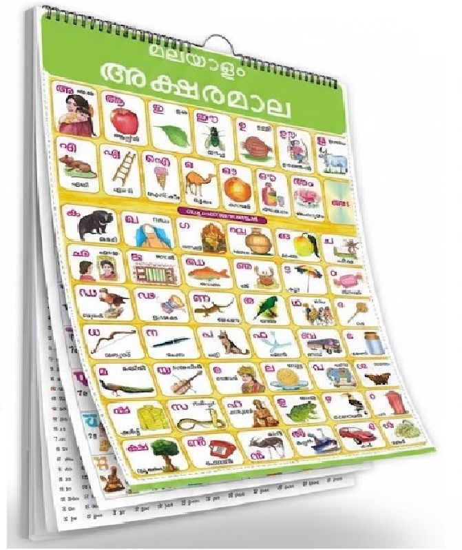 Malayalam & English Laminated Picture Wall Chart | 14 Subjects | 37x48 CM | 14 Pages Front & Back | Kids Age 2+ |Kannada Alphabet, Numbers, Fruits, Animals, vegetables Fine Art Print Fine Art Print-image-36