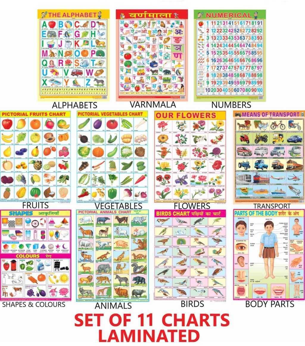 All in One Educational Chart for Kids | 45×60cm (Extra Large Size to attract Kids) Fine Art Print