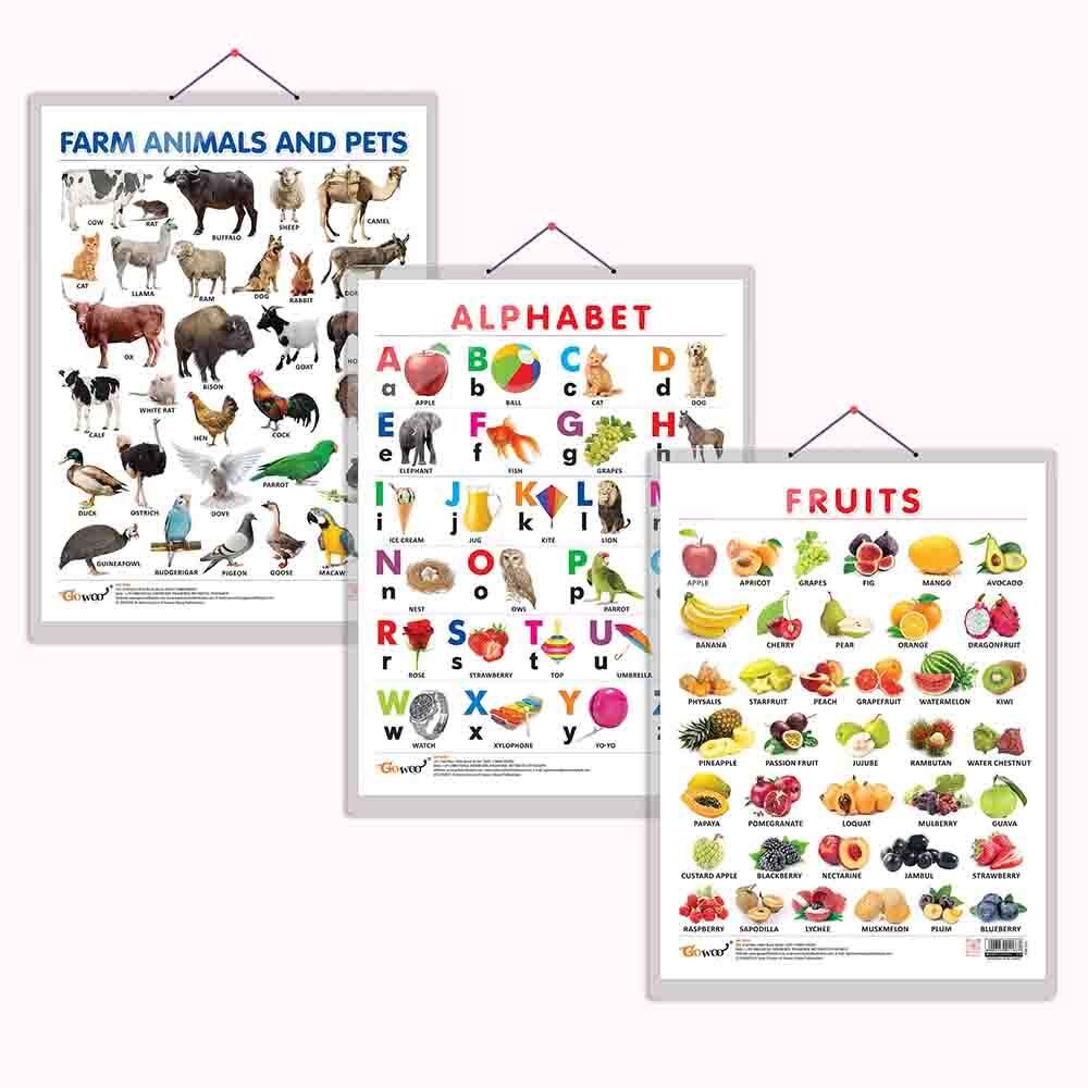 ALPHABET CHART HARD LAMINATED, FRUITS CHART HARD LAMINATED, and FARM ANIMALS AND PETS CHART HARD LAMINATED | combo of 3 charts | Language and Nature's Companions Display Paper Print-image-17