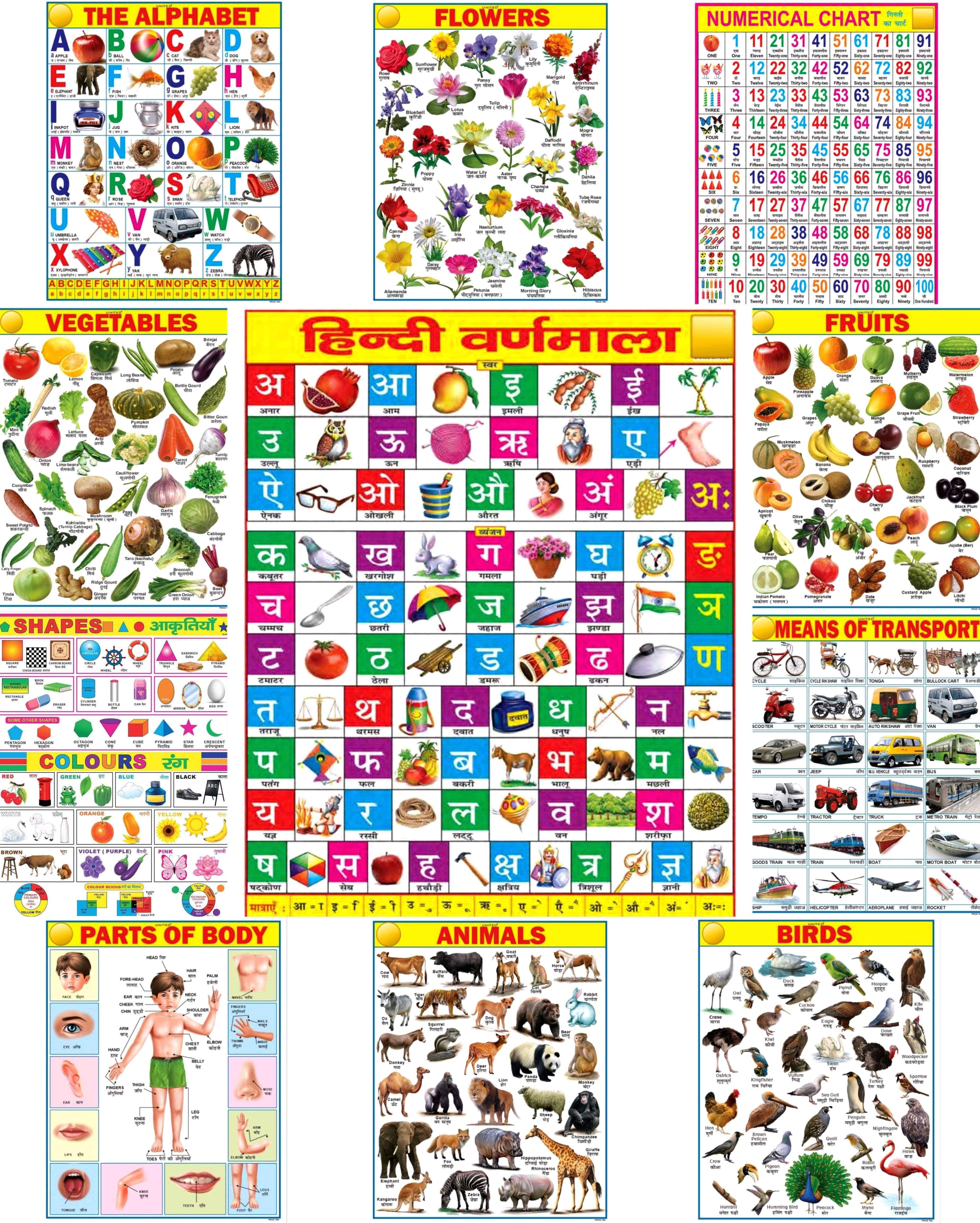 janil All in one Learning Chart Poster set for Kids | 45×60cm | ABC'D Chart | Combo of 11 Charts | Non-Tearable and Waterproof | Perfect for Homeschooling, Kindergarten and Nursery Student Fine Art Print-picture-26