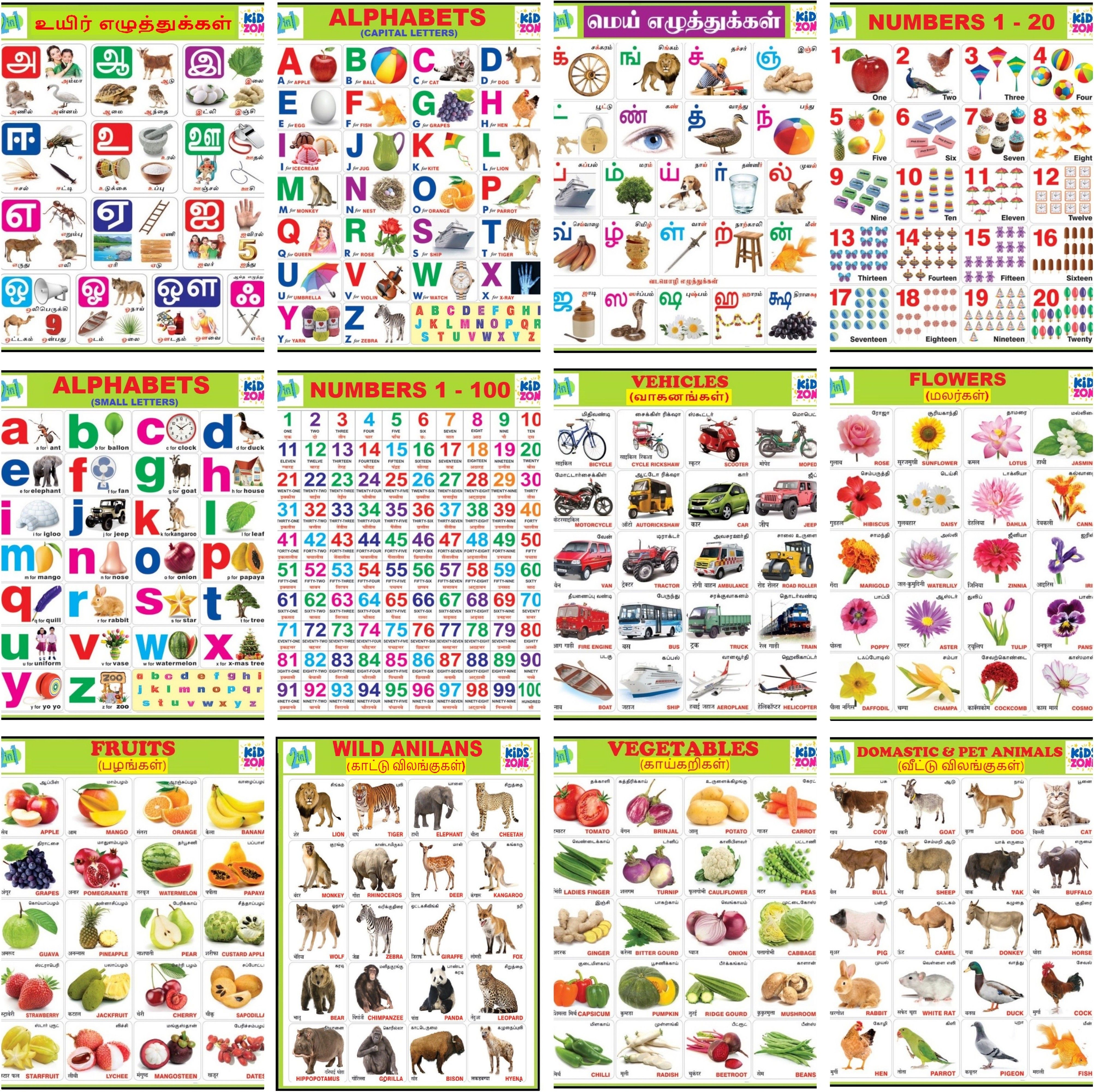 Tamil & English Wall Charts (12 Charts ) Back to Back | 37 x 48 cm - Kids Wall Picture Chart | Tamil Alphabets, English Alphabets, Numbers Fine Art Print-image-47