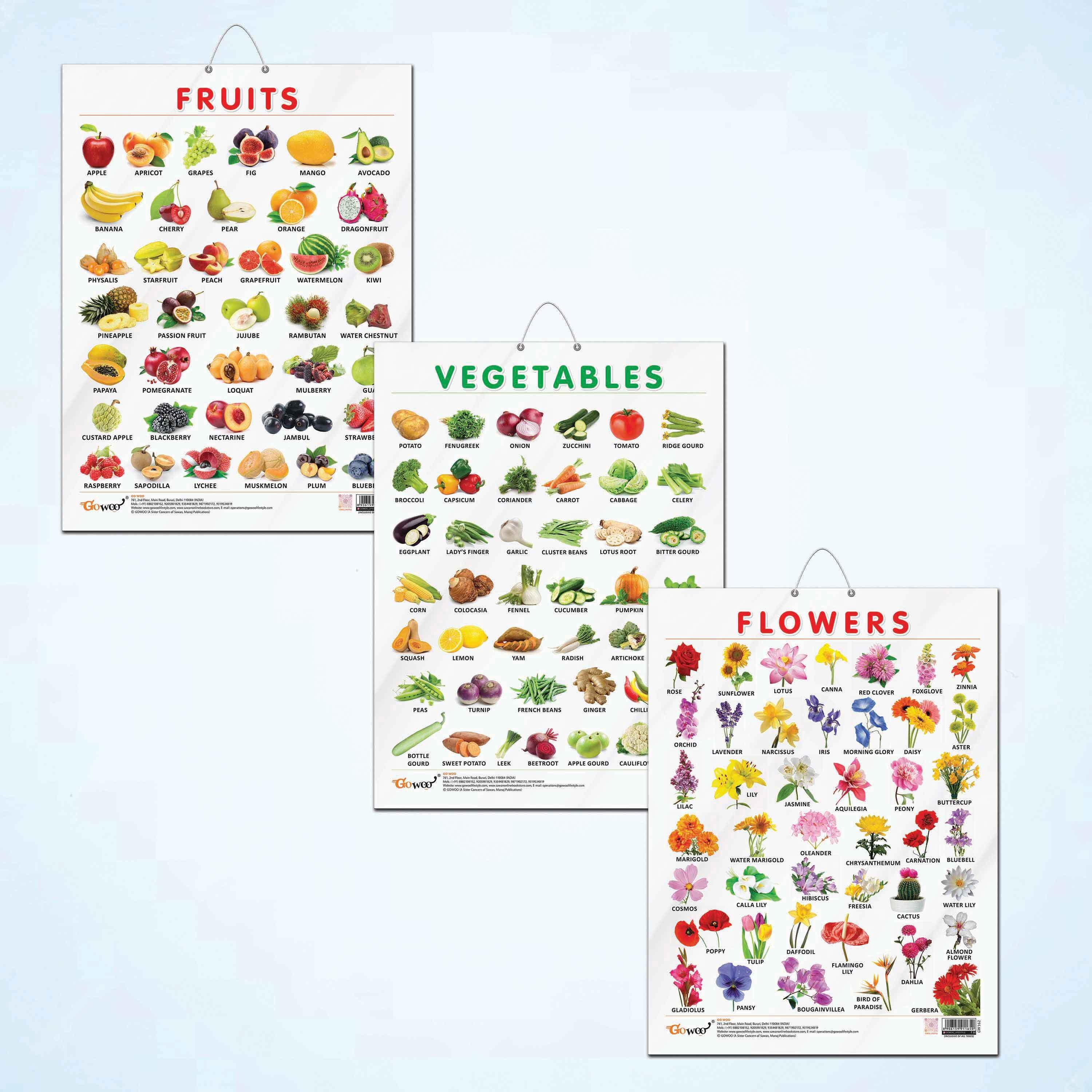 FRUITS CHART GLOSS LAMINATED, FLOWERS CHART GLOSS LAMINATED, and VEGETABLE CHART GLOSS LAMINATED | combo of 3 charts |Vibrant Nature Exploration Trio Paper Print-image-46