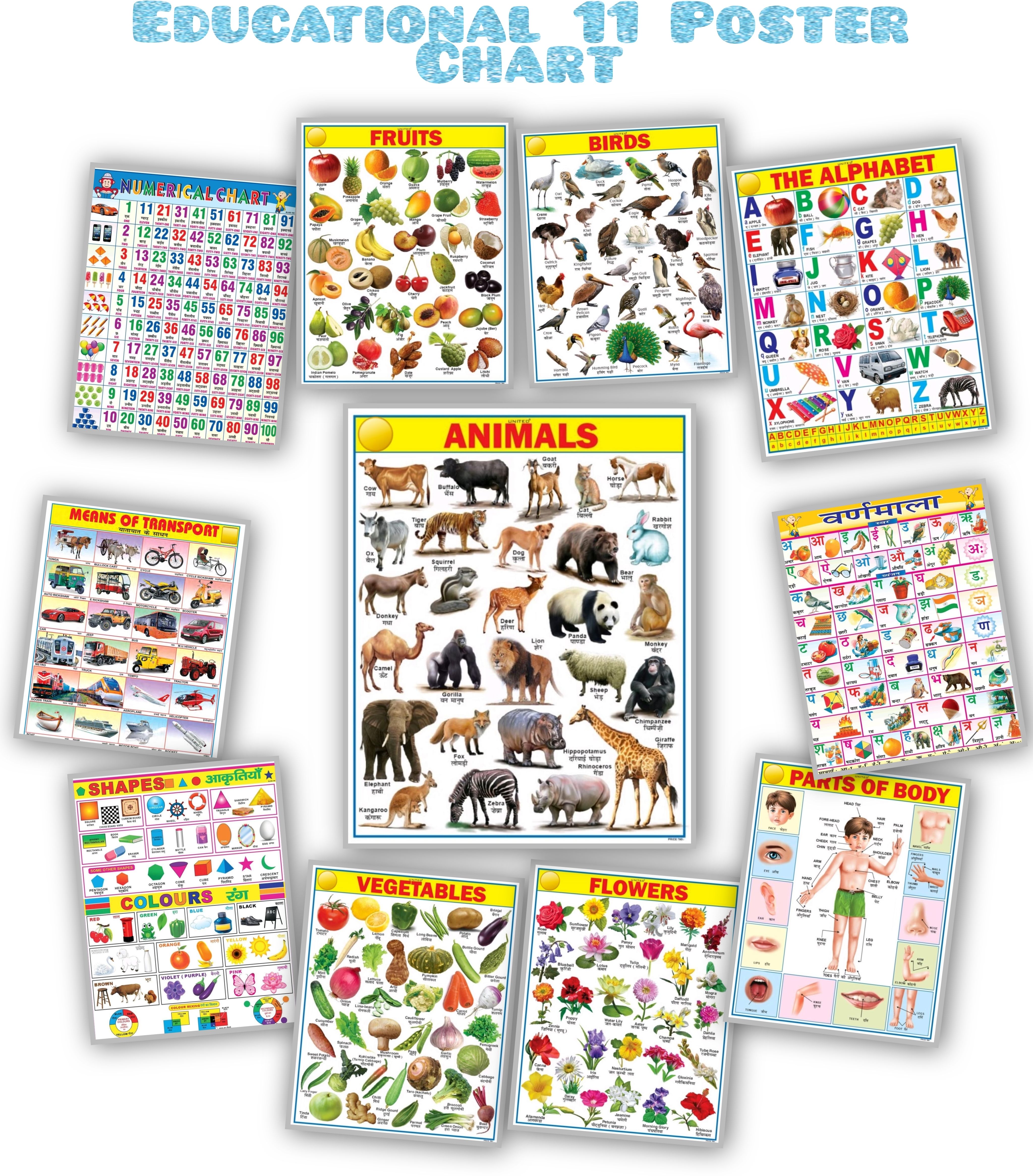 Early Learning Poster Charts Set for Kids | 45X60 cm | Set of 11 | Non-Tearable and Waterproof | Language English & Hindi | Perfect for Homeschooling, Kindergarten and Nursery Students Fine Art Print-image-19