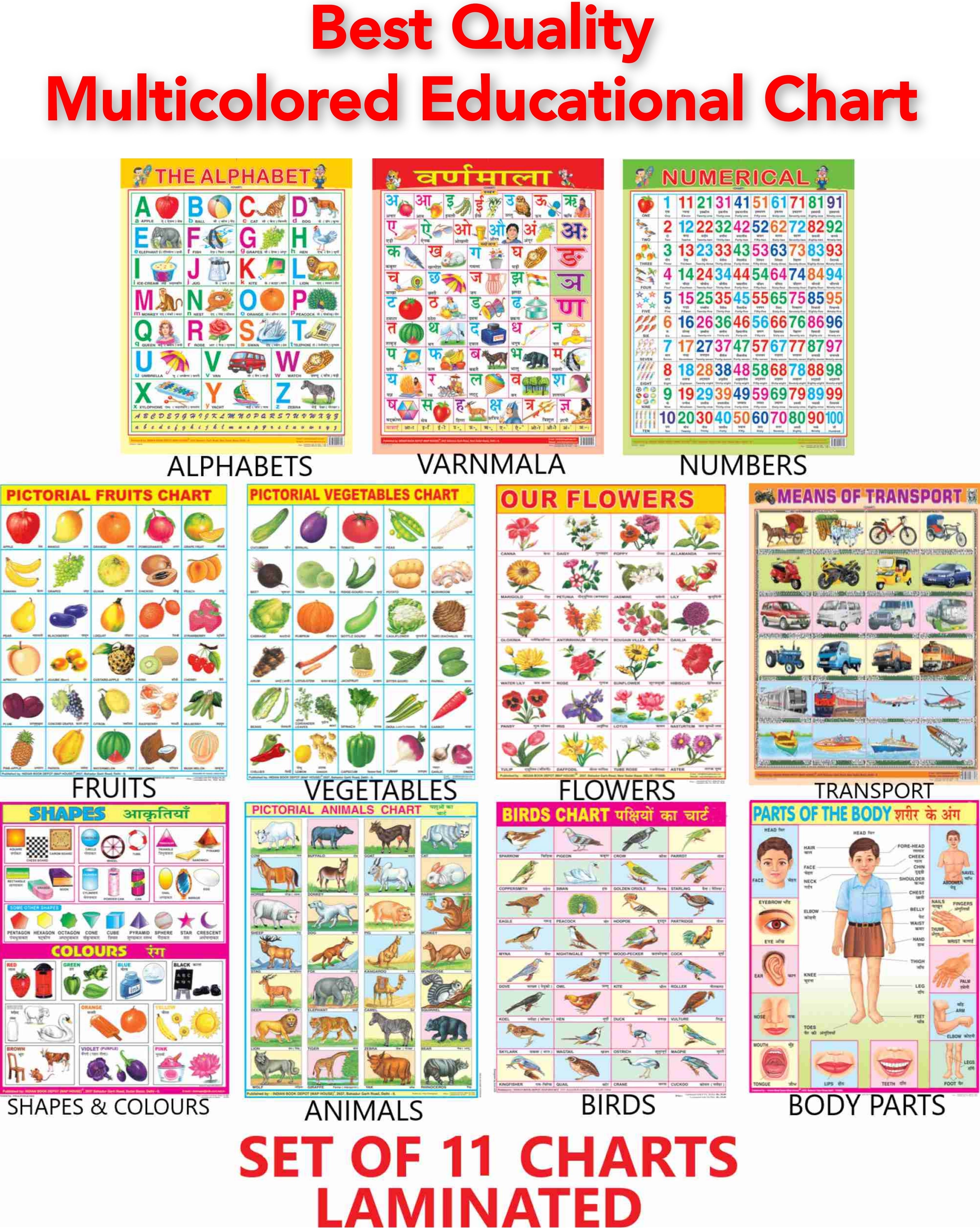 Educational Learning Charts set for Kids | 45cm×60cm (Extra Large Size to attract Kids) | Combo of 11 Charts | Non-Tearable and Waterproof | Perfect for Homeschooling, Kindergarten and Nursery Student Fine Art Print