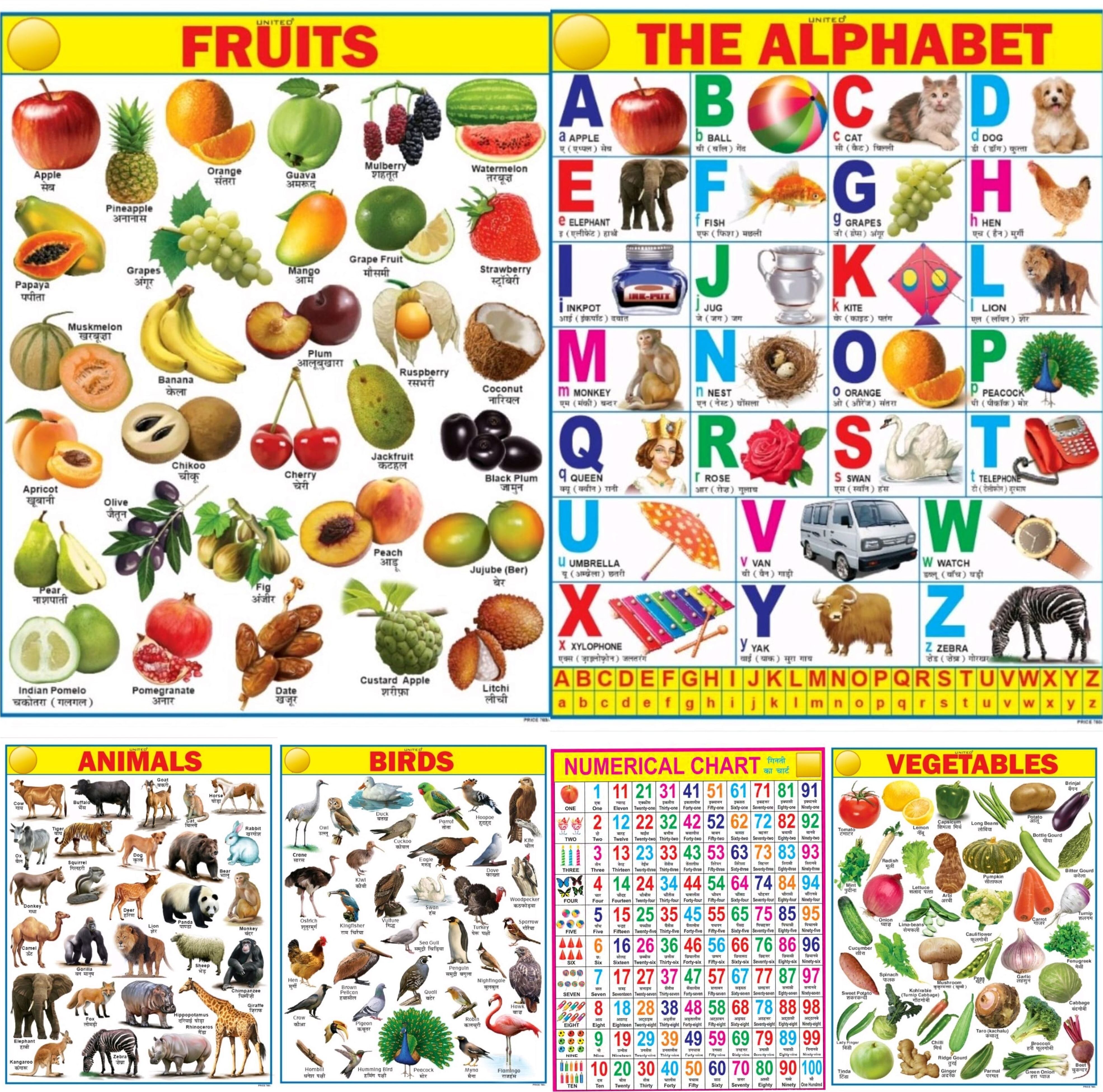 Educational Learning Wall Chart for Kids (Pack of 6) | Early Learning Posters | 45x60 cm | Vibrant & Laminated Charts for Home & School Use Fine Art Print-image-35
