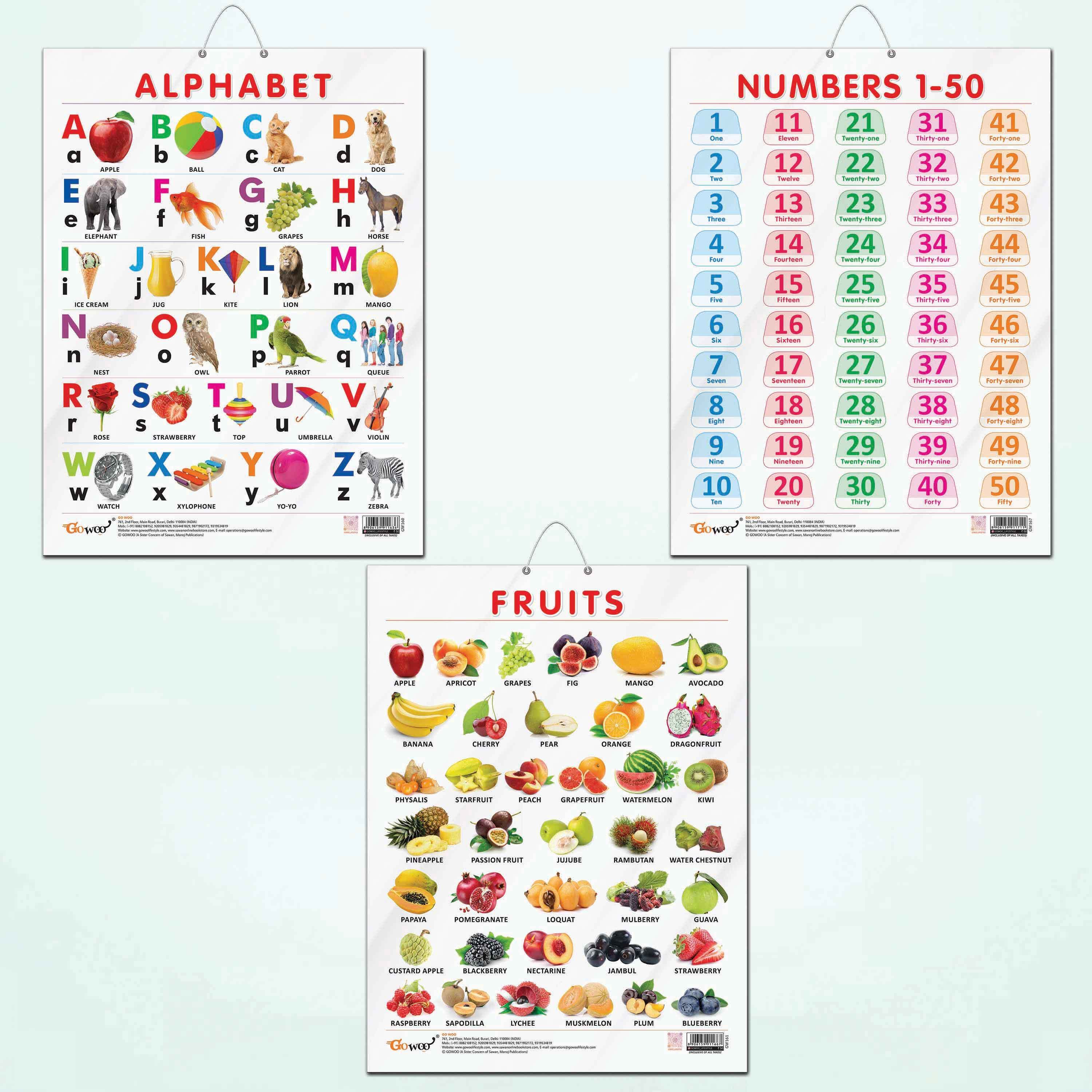 ALPHABET CHART GLOSS LAMINATED, FRUITS CHART GLOSS LAMINATED, and NUMBER 1-50 CHART GLOSS LAMINATED | combo of 3 charts |Colorful Educational Tools: A Trio of Laminated Learning Charts Paper Print
