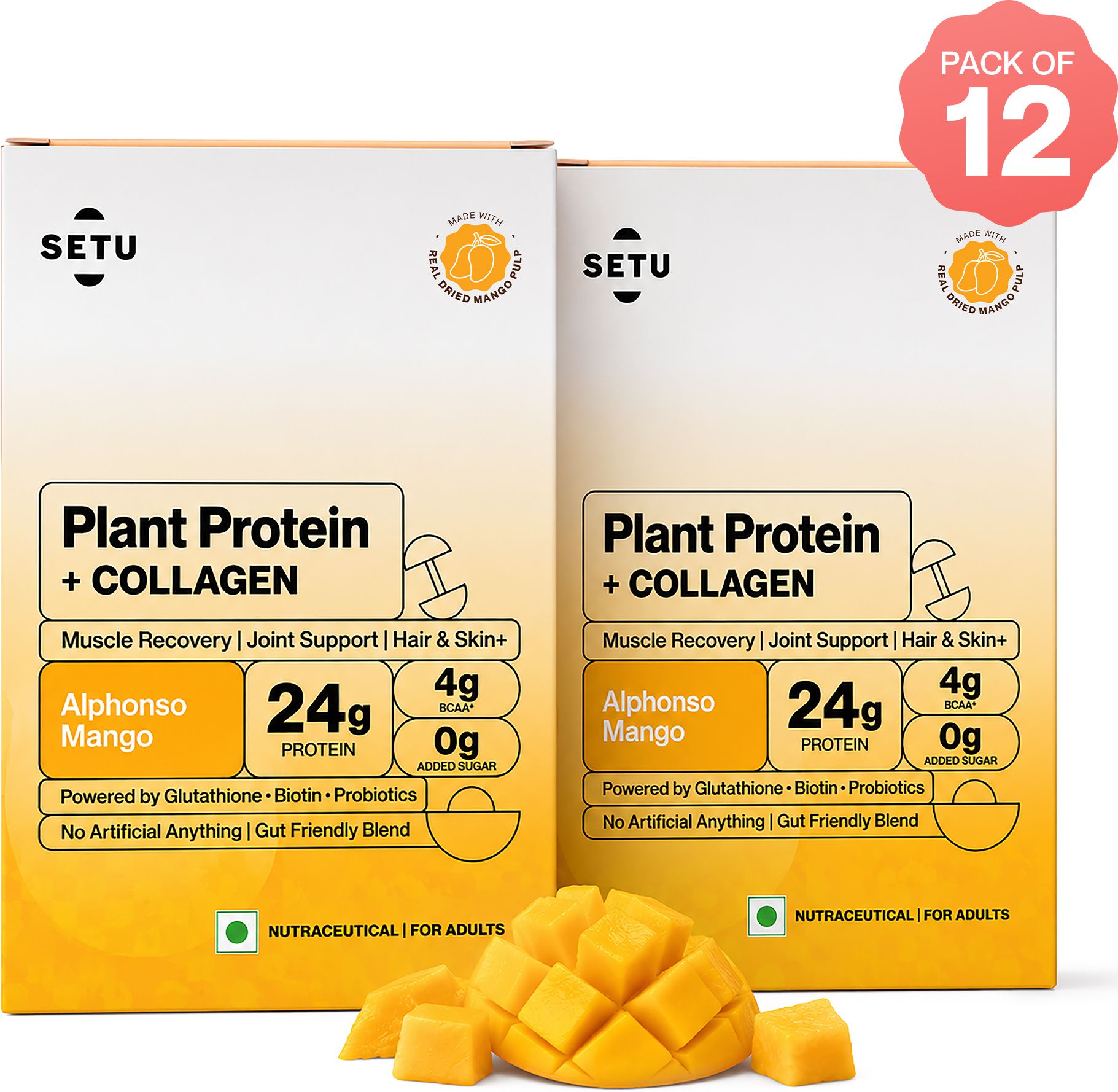 setu Plant Protein + Veg Collagen | 24g Protein with Glutathione & Biotin Plant-Based Protein-picture-35
