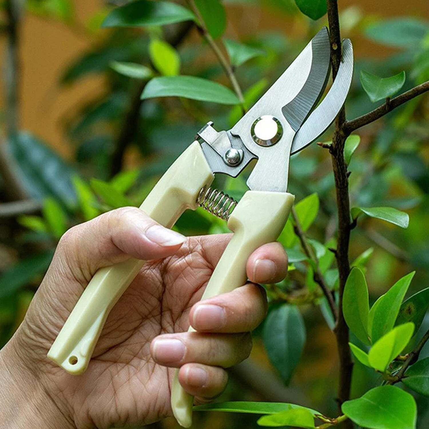 Garden pruning shears Cutter For Home Garden | Flower Branch Sharp Cutter | Garden Pruning Shears Bypass Pruner