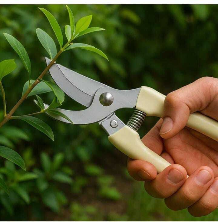 Flower Cutter and Grass Cutter | Gardening Pruning Shear | Pruning & Leaf Cutter Bypass Pruner-image-18