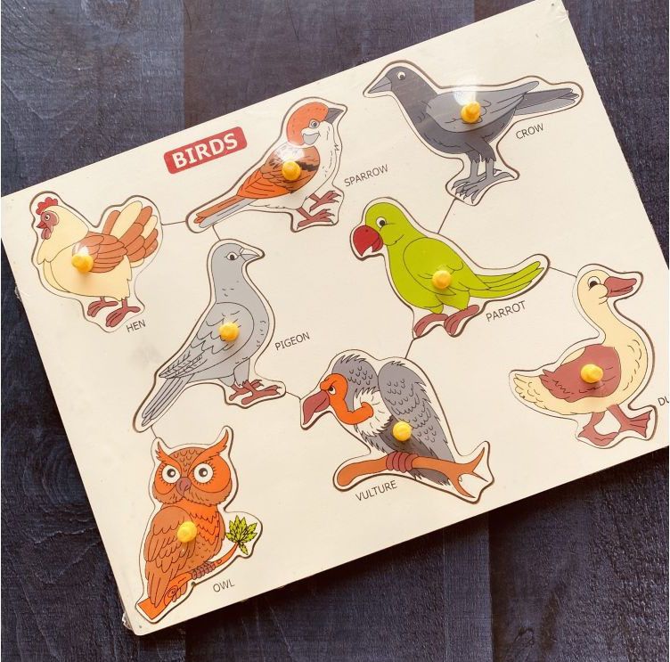 Wooden Birds in Shapes Puzzle Tray for Kids with Knobs Educational Learning Toy-image-9