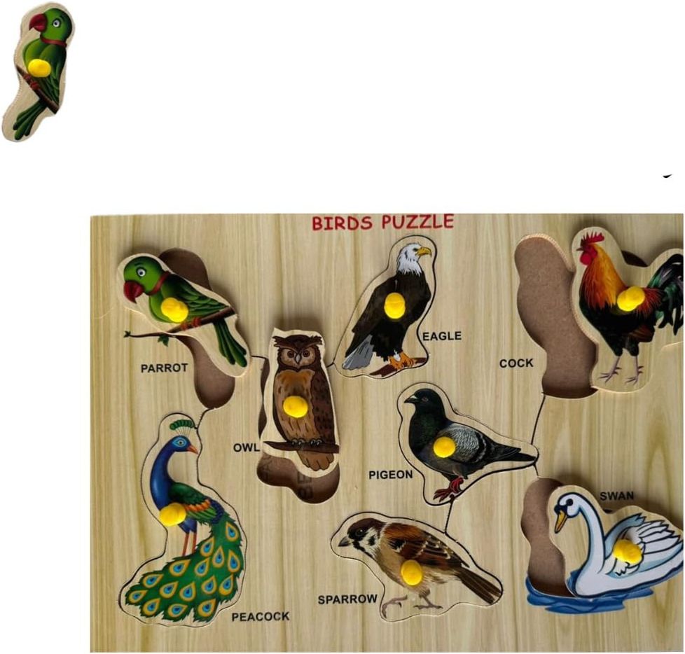 Beautiful Birds Name in Shapes Toys Birds Matching Puzzle Board Educational Tray-image-16