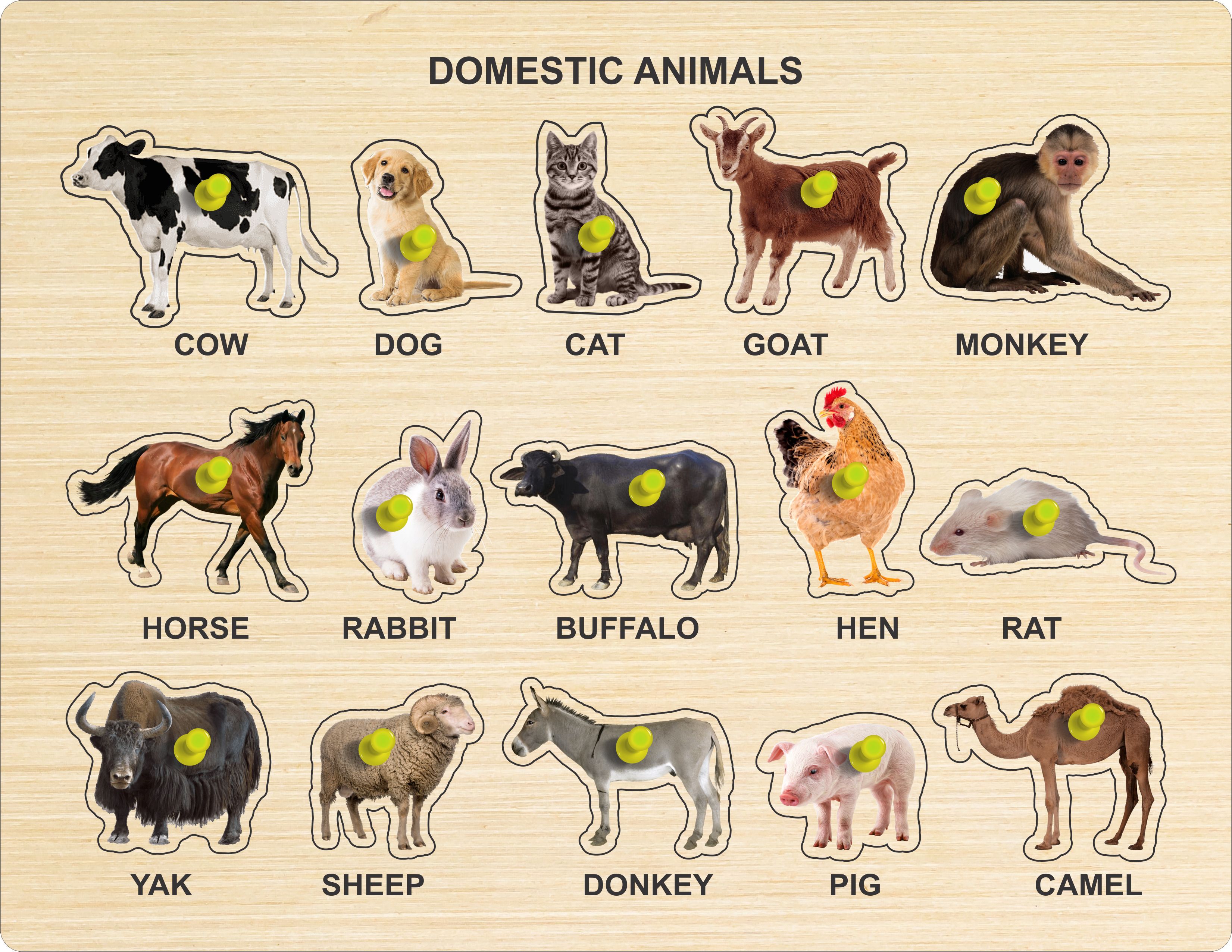 Wooden Puzzle of Domestic Animal Name, Image with Color for Kids Education-image-6