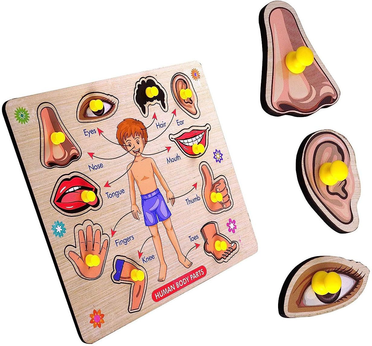 Wooden Human Body Parts Puzzle with Knobs, Montessori Educational Learning Toys-image-46