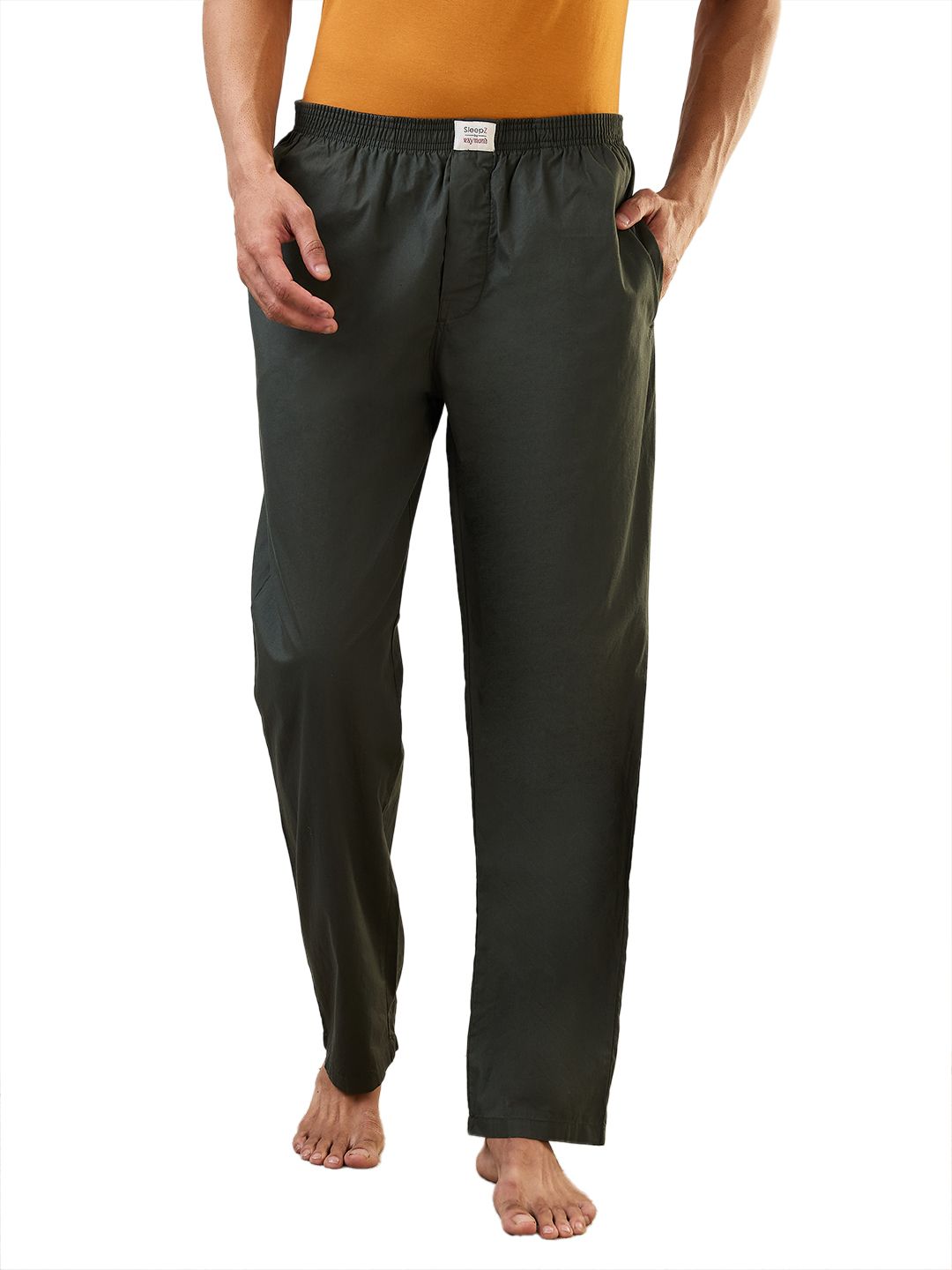 sleepz by raymond Men Pyjama-picture-17