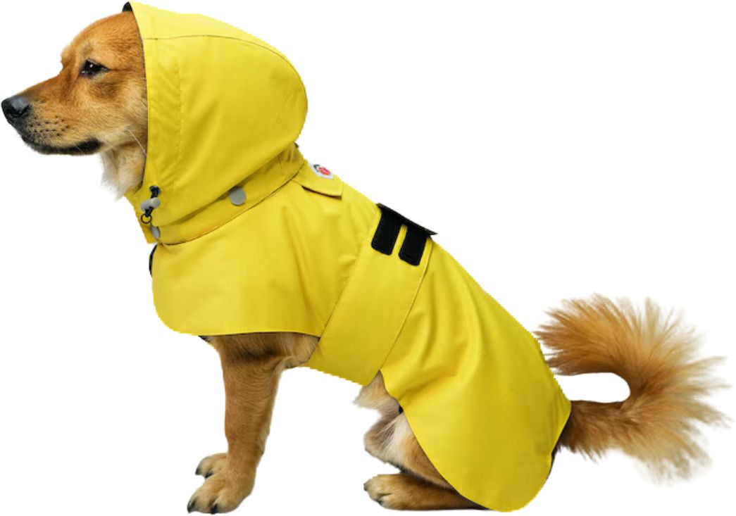 Dog Raincoat for all small breeds dogs S Rain Sheet