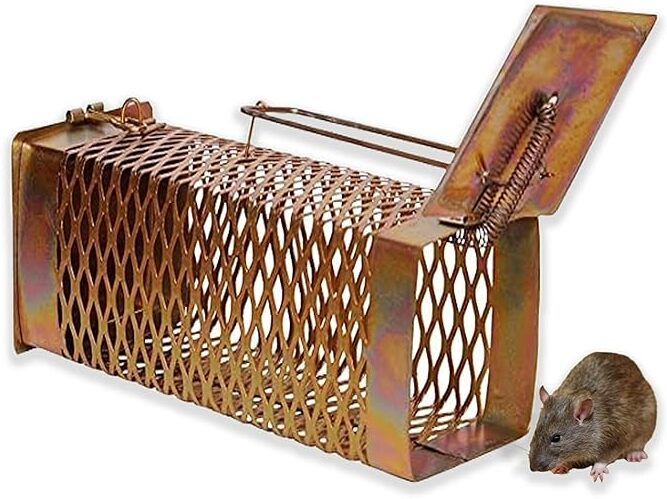 ropestore chuha pinjra, Mouse pinjra,Rat penjra,Chua pinjra,Mouse Live Trap-picture-11