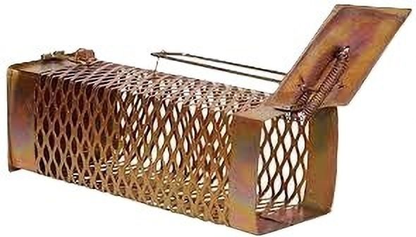rsenterprises chuha pakande wala, mouse catching, rat Trap Live Trap-picture-0