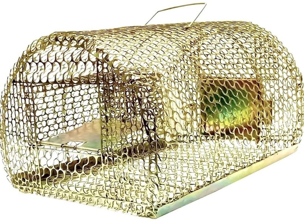 ganesh enterprises RTB-01 Live Trap-picture-25