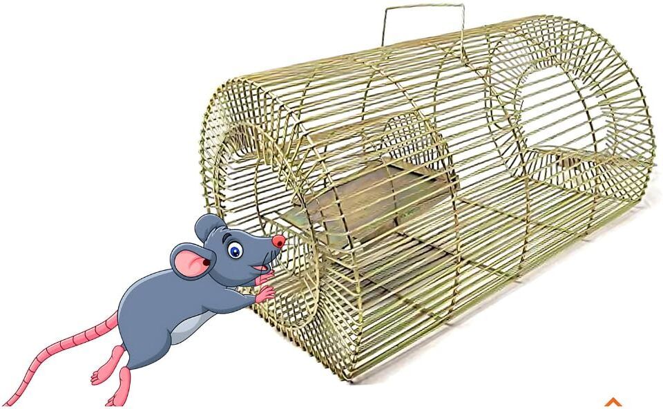 quantcomm Fancy Traps For Mouse Trap Mouse Catcher Chuhe Ka Pinjara Live Trap-picture-28