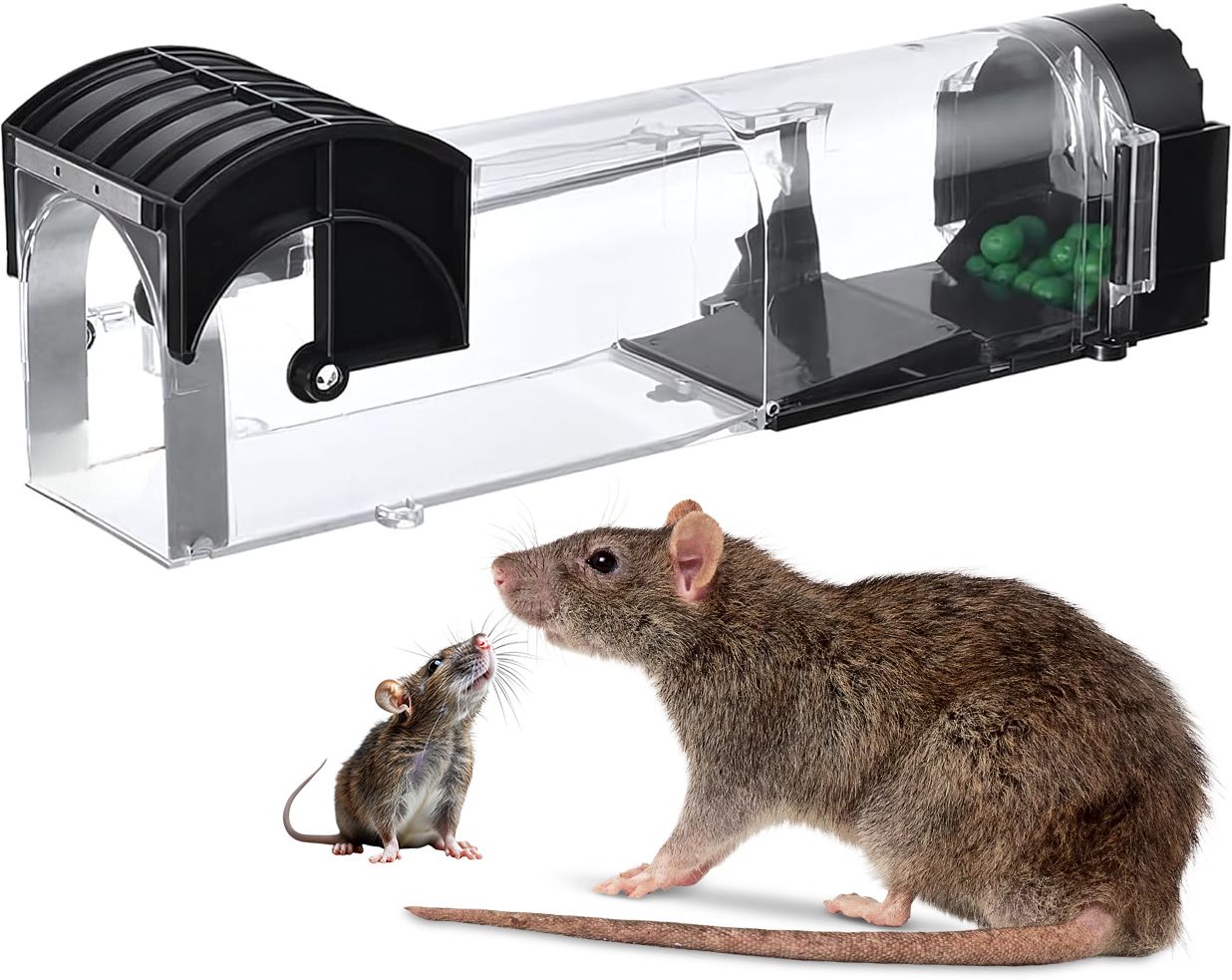 Smart Humane Rat Trap 32cm | Safe No-Kill Rat Cage | Reusable Indoor Outdoor Live Trap-image-0