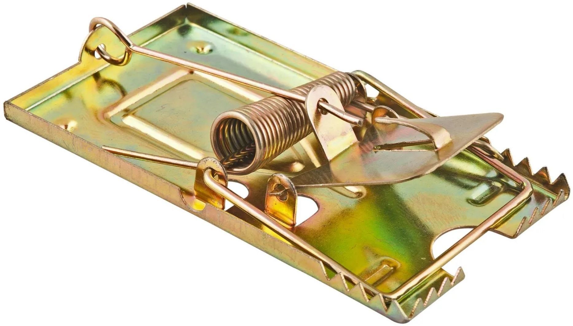 Mouse Trap Cage Strong Build | Rat Trap Professional Indoor Live Trap-image-1