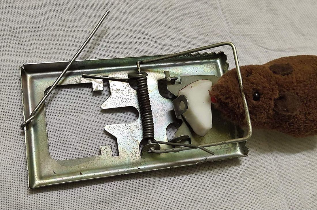 Metal Rat / Rodent / Mouse Trap (2) Snap Trap-image-36