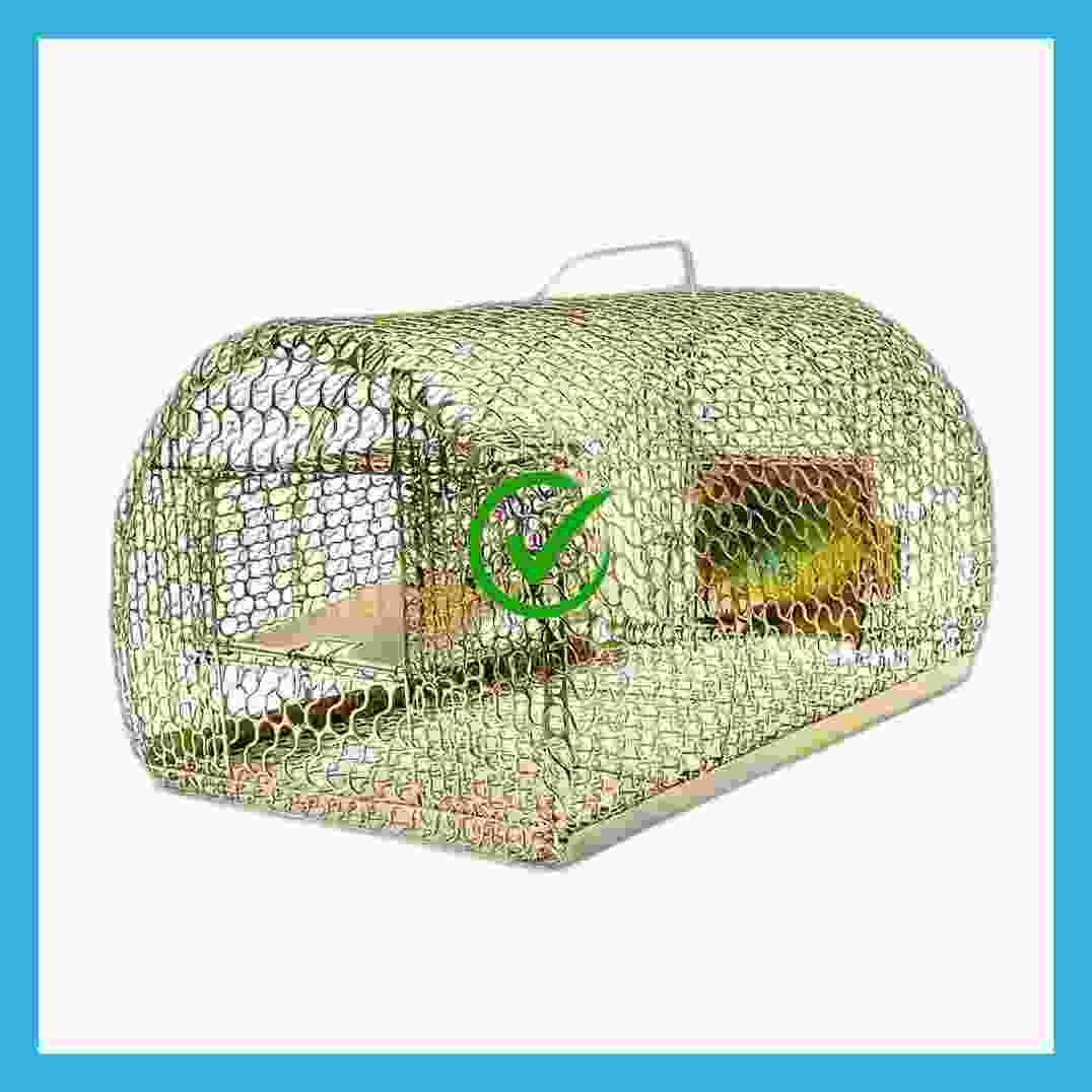ropestore chuha pinjra, Mouse pinjra,Rat pinjra,Chua pinjra,Mouse Pinjra Live Trap-picture-12
