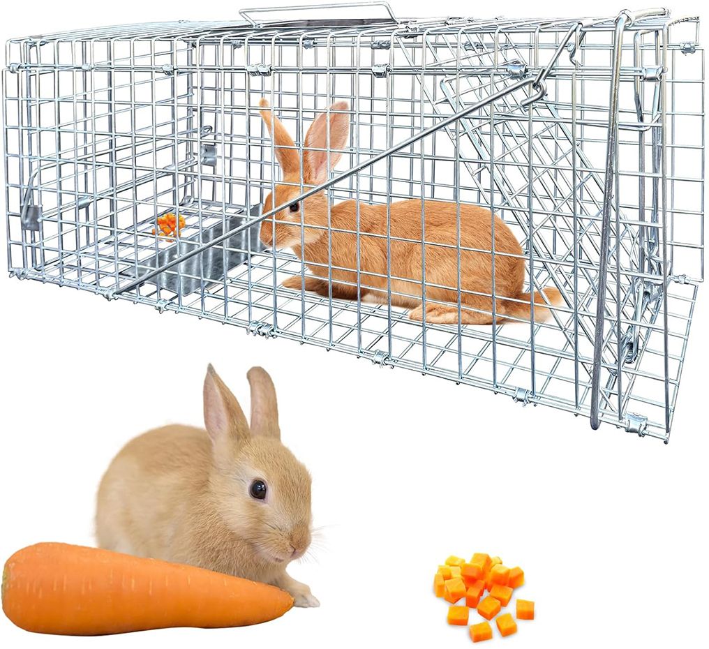 Live Animal Cage Trap, One-Door Animal Trap forRabbits, Stray Cat, Squirrel Live Trap-image-20