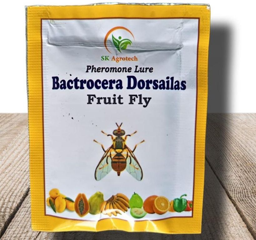 bactrocera dorsailas- fruit fly pheromone lure pack of 50 lure snap trap