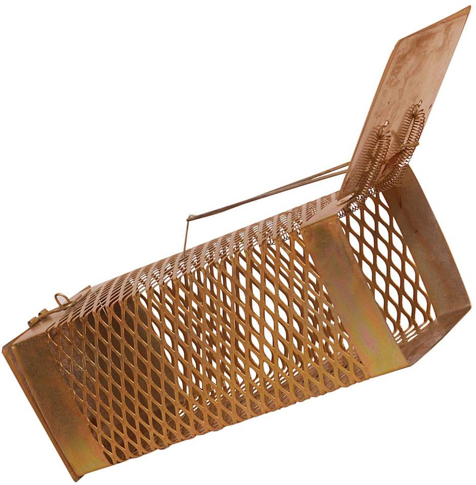 Mouse ! Rodent Iron Cage Live Trap