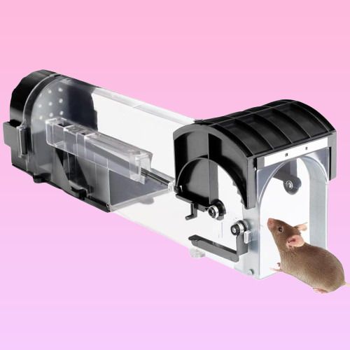 rrax MTB20 Live Trap-picture-20