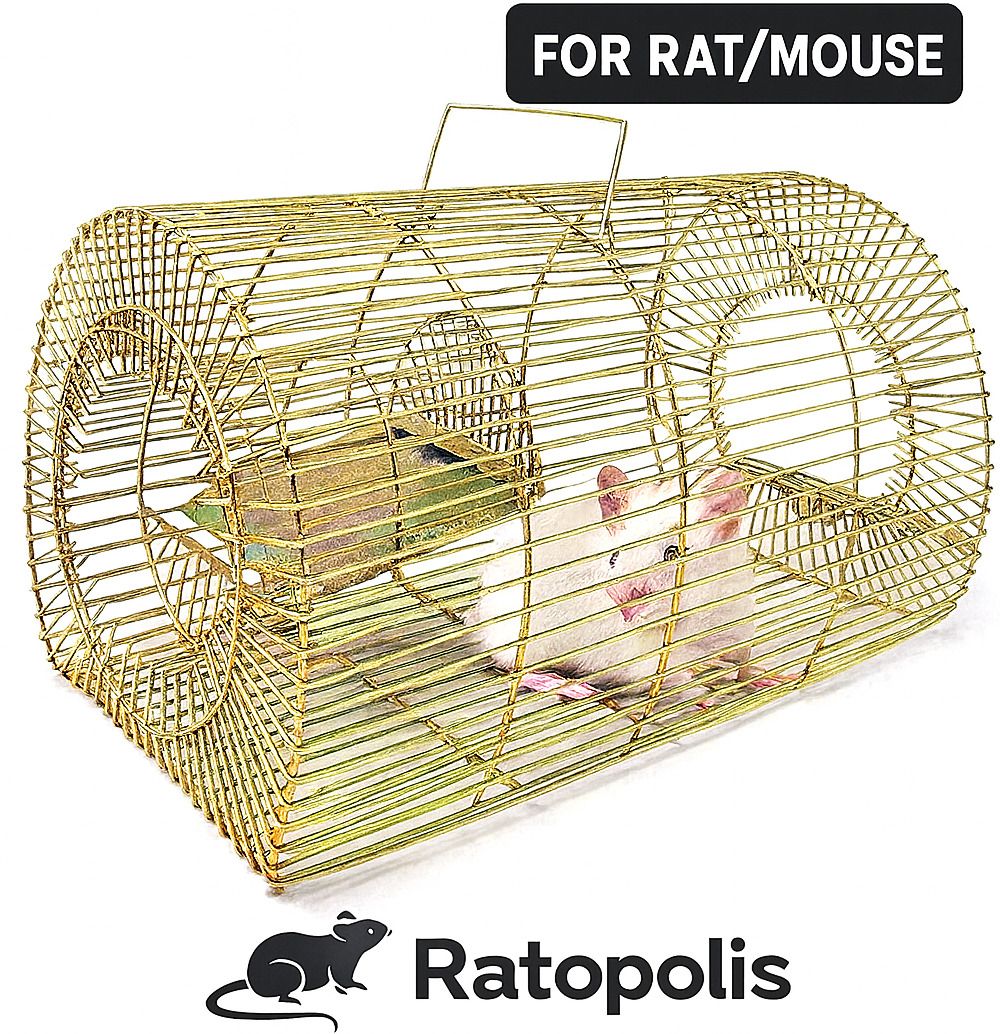 Rat Trap Cage,Mouse and Mice & Rodents , Rat Catcher Cage Live Trap-image-12